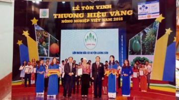 Sản phẩm Liên nhóm hữu cơ huyện Lương Sơn nhận chứng nhận Top 100 thương hiệu vàng nông nghiệp Việt Nam, năm 2016