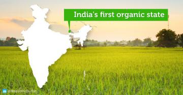 Điều kỳ diệu ở Bang đầu tiên của Ấn Độ “hữu cơ hóa” 100% nền nông nghiệp