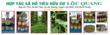 Bình Phước - Tiêu hữu cơ Lộc Quang